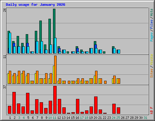 Daily usage for January 2026