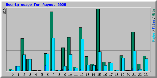 Hourly usage for August 2026