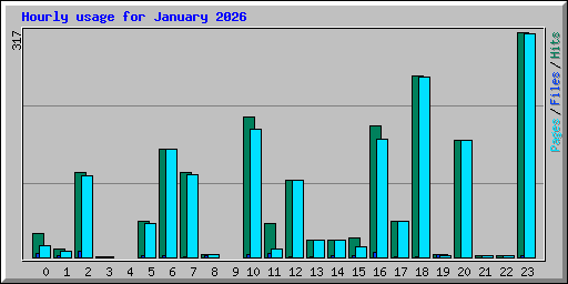 Hourly usage for January 2026