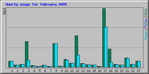 Hourly usage for February 2026