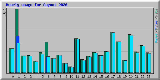 Hourly usage for August 2026